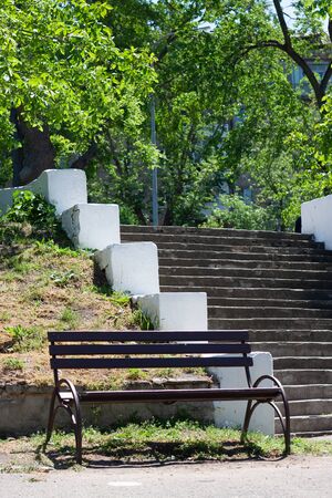 Wooden bench and steps surrounded by trees in park. Concept of rest,  calm and silenceの写真素材