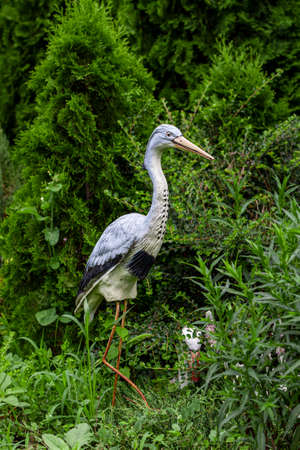 Decorative statue of a crane in the garden among greeneryの写真素材