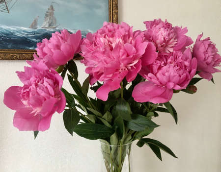 a bouquet of beautiful pink peonies in a crystal clear vase stands and decorates the girl's roomの写真素材