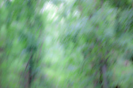 green blurred background may be used as a textureの写真素材