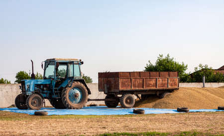 Concept - Grain Harvesting and agricultural equipment 2020. A blue tractor on a farm territory unloads a grain trailer onto a large pile of barleyの写真素材