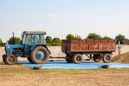 Concept - Grain Harvesting and agricultural equipment 2020. A blue tractor on a farm territory unloads a grain trailer onto a large pile of barleyの写真素材