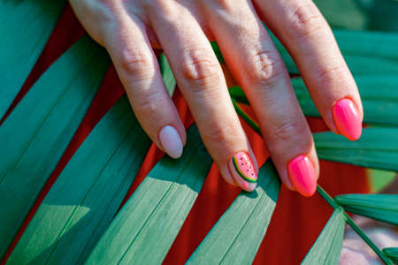 A very beautiful manicure on the background of a palm leaf. One finger has an image of a watermelon, all other fingers are pinkの写真素材