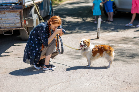 Nikolaev, Ukraine- August 15, 2020: volunteer exhibition of stray dogs. Photographer girl makes a picture of dog outside in the yard. Close-up portrait. Dog training, preparation for exhibition, petsのeditorial素材