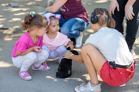 Nikolaev, Ukraine- August 15, 2020: volunteer exhibition of stray dogs. Dog training, preparation for exhibition, pets. Three girls sit near black puppy. One is listens to music with big earphonesのeditorial素材
