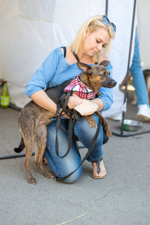 Nikolaev, Ukraine- August 15, 2020: volunteer exhibition of stray dogs. Dog training, preparation for exhibition, pets. Woman holds a dog in her hands and feeling happyのeditorial素材