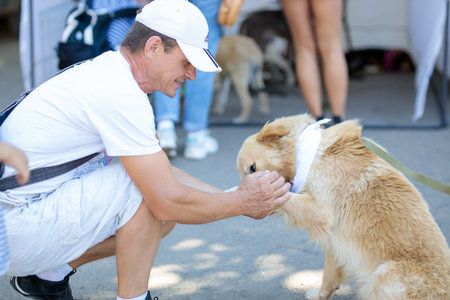 Nikolaev, Ukraine- August 15, 2020: volunteer exhibition of stray dogs. Dog training, preparation for exhibition, pets. One man holds a dog's paw and feeling happyのeditorial素材