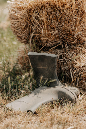 Dirty Muddy big rubber boots on nail farm in fresh straw closeup outdoors on sunny day.の写真素材