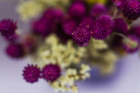 Bouquet of dried yellow and violet flowers with copy-space for room decor. Place for text or advertising. Floral minimal home interior boho style. Boho style holiday photo zone decor. selective focusの写真素材