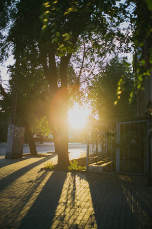 Sunset light outside the street, sunny path. Orange color on green tree, bright leaves in fall city park. nature scene in sunsetの写真素材