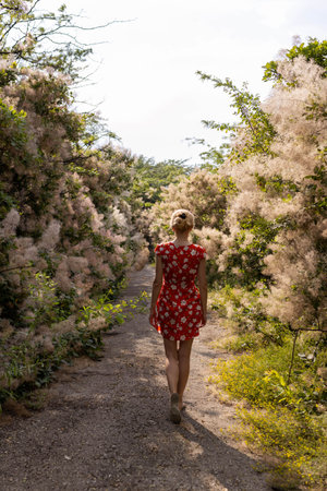 Girl in short orange dress walks in the abandoned road among Skumpia (Cotinus coggygria Scop. or Wig tree with pink hairs ) leathery woody plants growing out of the cityの写真素材