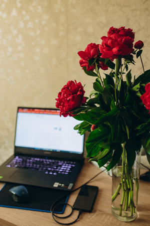 Red peonies bouquet in glass vase, flowers at sunset yellow light with laptop and phone. Bright bunch on white wall and window background. Trendy postcard template, text place, copy space, close upの写真素材