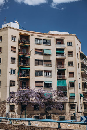 Alicante, Spain - May 16, 2023: Building with violet purple flower tree, Alicante. Summer holidays in Spain. Enjoy breathtaking panoramic views of the seaのeditorial素材