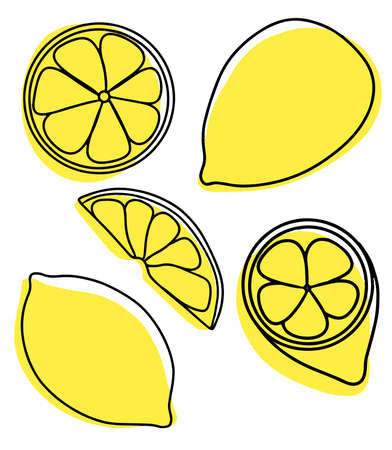 Collection of exotic lemon fruitのイラスト素材