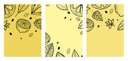 Set background with lemon, flower, leaves. Hand-drawn vector illustration of fruits. In the style of an engraving with colored spots.Citrus, botanical design. For posters, prints, wallpapers, coversのイラスト素材