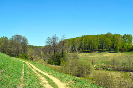 Grassy road, green hills, birch forest and blue sky. Spring or summer landscape.の写真素材