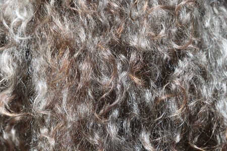 Sheep wool fur background. Dark brown texture. Thick soft curly brilliant hair. Close-up horizontal photography.の写真素材