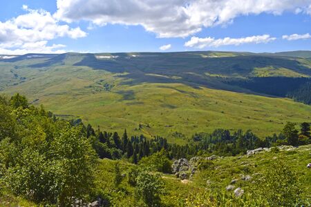 Top view of the hills, valley, coniferous and mixed forests. Trees, pines, grass, bushes, stones and blue sky with white clouds. Beautiful mountain landscape on a sunny summer day. Horizontal photo.の写真素材