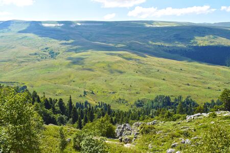 Top view of the hills, valley, coniferous and mixed forests. Trees, pines, grass, bushes, stones and blue sky with white clouds. Beautiful mountain landscape on a sunny summer day. Horizontal photo.の写真素材