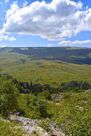 Top view of the hills, valley, coniferous and mixed forests. Trees, pines, grass, bushes, stones and blue sky with white clouds. Beautiful mountain landscape on a sunny summer day. Vertical photo.の写真素材