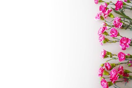 Ð¡ard with pink carnations. Arrangement of red flowers on a white background. Top view, place for text (copy space). Backdrop for mother's day, valentine's day, wedding. Decorative floral frame, borderの写真素材