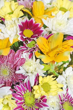 Floral background of various flowers: yellow peruvian lily (alstroemeria), pink, red and white daisies, gerberas, chrysanthemums. Bright multi-colored festive bouquet for mother's day or birthday.の写真素材