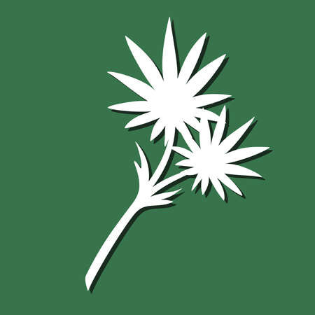 Decorative plant element. White object on a green background. The theme of nature, flowers. Template for plotter laser cutting of paper, metal engraving, wood carving, plywood. Vector illustration.のイラスト素材