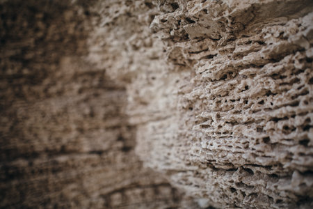 The texture of dry earth and mud