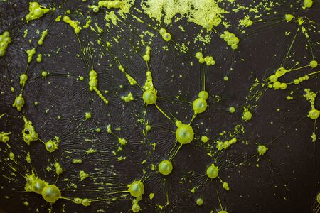 Green abstract substance on water film. Fragments of vegetation. Chlorophyll-rich object and energy as the basis of life. High concentration of organic matterの写真素材