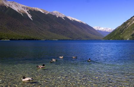 pure lake rotoitiの写真素材