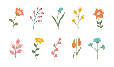 Handwritten Spring Flowers collection with leaves. Set of Hand drawn Summer Floral botanical elements. Doodle elegant minimalist design for decoration holiday cards, posters.のイラスト素材