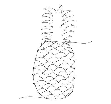 Continuous One line drawing of Pineapple. Outline exotic fruit with editable stroke.のイラスト素材