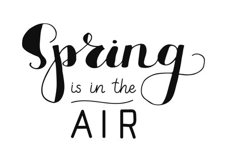 Spring is in the Air hand drawn quote in black color. Handwritten calligraphy season lettering. Element for banner poster cover card.のイラスト素材