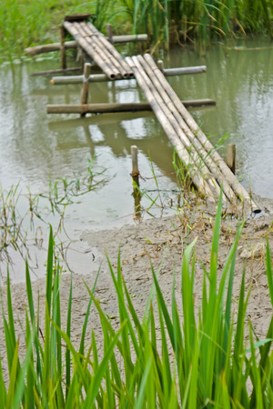 Waterside bridgeの写真素材