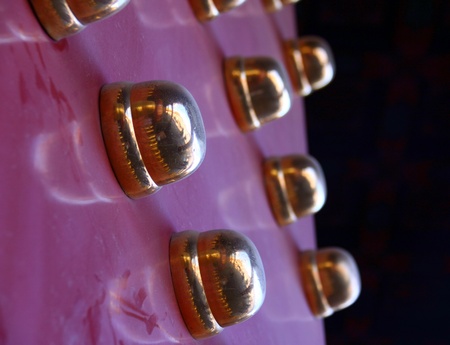 Copper nails on the door of the Palaceの写真素材