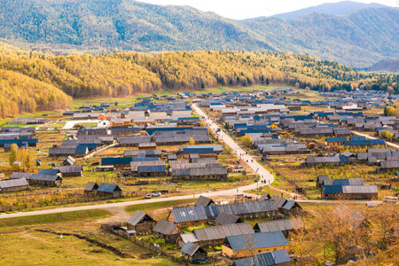 Xinjiang Hemu birch forest village autumn sceneryのeditorial素材