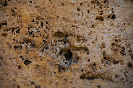 The porous structure of stone rock