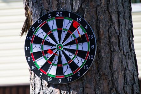 A dartboard hangs from a tree and a few Dartsの写真素材
