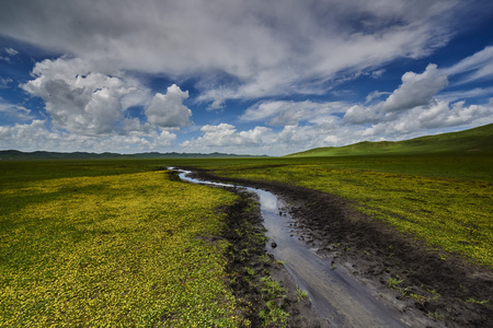 Ruoergai Hongyuan prairieの写真素材