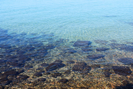 rocky coast of the seaの写真素材
