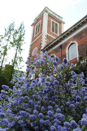 old house with purple flowers