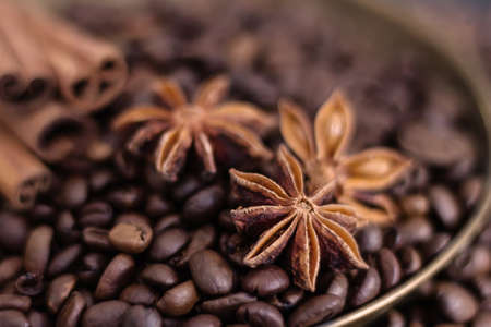 Coffee beans, cinnamon and star aniseの写真素材