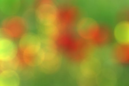 blurry abstract background with bokeh effect, poppies in the grassの写真素材