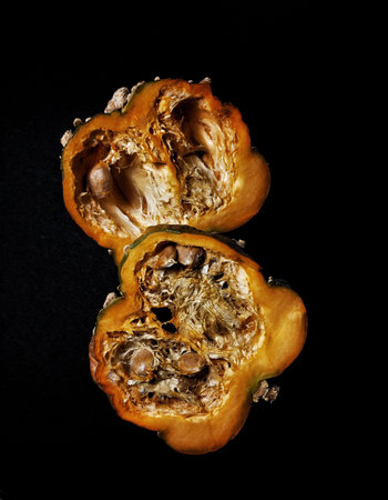 Pumpkin on a black background. Vegetarian food.の写真素材