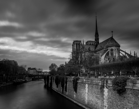 notre dame de Parisの写真素材