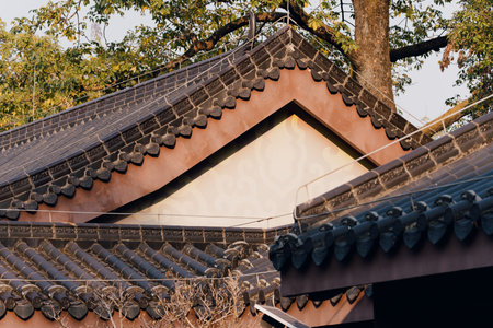 Traditional East Asian tiled roof with curved eaves and wooden structure under autumn foliageの写真素材