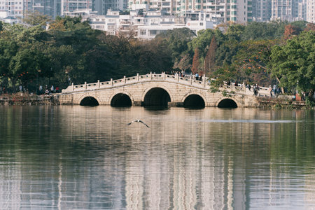 Stone Arch Bridge Over Calm Lake with Bird Flying, Urban Background and Tree-lined Shoreの写真素材