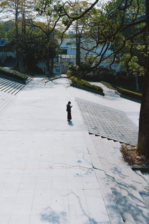 A solitary person walks along a wide stone pathway under tree shadows in a serene park setting