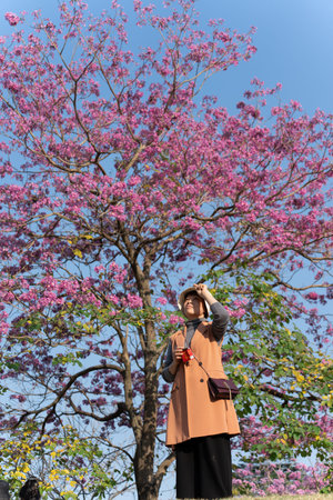 Woman standing under pink flowering tree in sunny park, wearing beige coat and hat, looking up at...