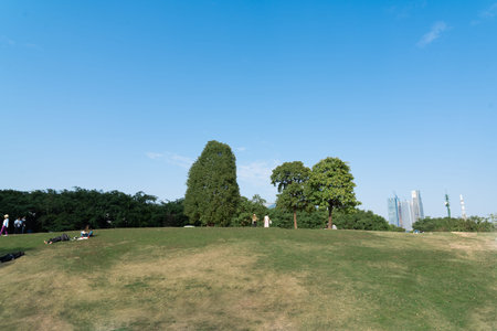 Grass-covered hill under clear blue sky with trees and distant city skyline, people relaxing in parkの写真素材